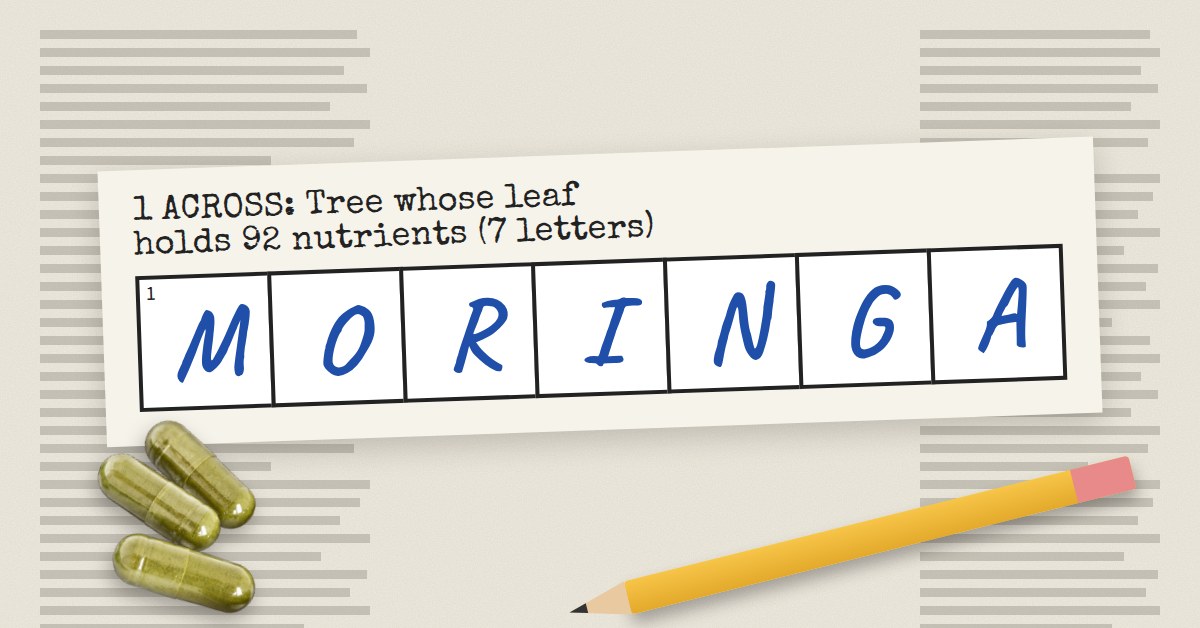 A crossword with the answer MORINGA written in