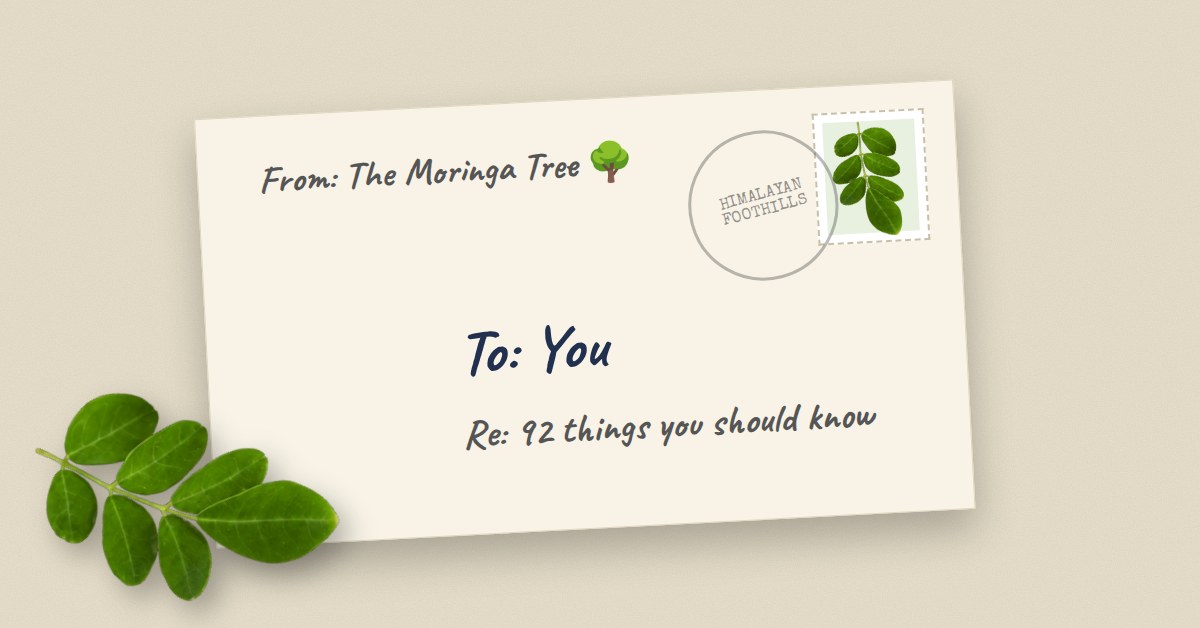 An envelope addressed To You, from The Moringa Tree