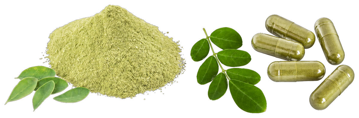 Leaf powder & capsules